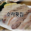 횟집 이미지