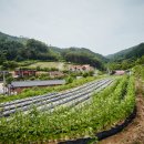 화랑촌 이미지
