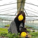 소월농장 이미지