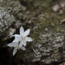 팔현1리 마을회관 이미지