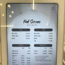 네일서린(Nail serene) 네이버블로그