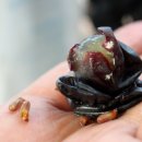 정의선농장 이미지