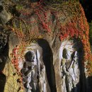 산삼휴양밸리(대봉캠핑랜드) 이미지