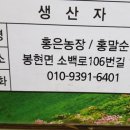 홍은농장 네이버블로그