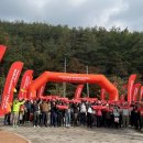 시어동 캠핑장 이미지