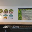 운동화빨래방화이트 이미지