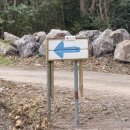 대한목장 이미지