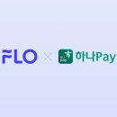 하나PAY 이미지