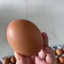 안일농장 이미지