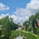 수원-0801 이미지