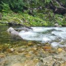 용소계곡 주차장 화장실 이미지