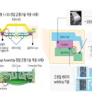 신흥전지