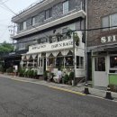 아담스타코 이미지