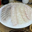 [또간집] 발산역 가성비 횟집 광어포차 내돈내산 솔직후기