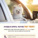 캠퍼트리 호텔 앤 리조트 티스토리
