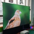 서인 합기도검무관 이미지