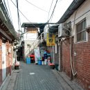 오비베어 이미지