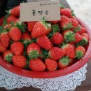 풀먹우