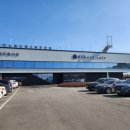 149 | 세종 대형카페 추천, 월하리 149 베이커리카페 방문 후기