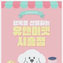 유앤미 | 의왕폼스키분양 후기｜유앤미펫에서 만난 특별한 가족