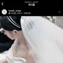 로젤리스냅 이미지