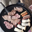 영광 한옥펜션 ‘숲쟁이펜션’ 숙박 및 가마미 아쿠아월드 후기