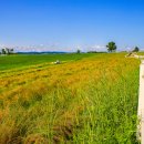 창포 목장 이미지