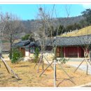 웅천 오충사 이미지