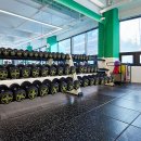 짐프릭 정자시장점 이미지