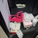 고려홍삼자판기 | 2023년 상반기 역대급 펫페어 <2023 메가주 일산>에서 만난 이너진