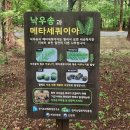 물향기 | 도심 속의 자연 힐링| 오산 물향기수목원 방문 후기