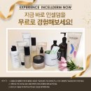 스텔라 인셀덤 네이버블로그