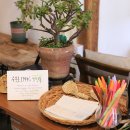 반려식물 원예화분 공예 이미지