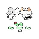 렌.카페