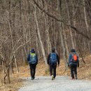 산수유 둘레길 이미지