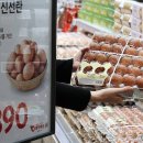 우리계란마트 네이버블로그