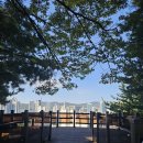 근린공원 21호 족구장 | [일상] 발곡근린공원 답사후기