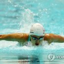 배영텔레콤 이미지