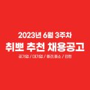 📍 6월 3주차 취뽀 추천 채용공고 (🖤공기업/대기업/중견·중소/인턴) 이미지