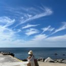 대가야반점 이미지