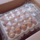 금호 양계장 이미지