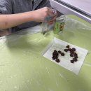 24.2.6. 초코도넛, 초코비 만들기 활동 이미지