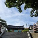 까멜리아인구룡포 | 포항 구룡포 카페 추천 까멜리아 인 구룡포 동백이 빙수 & 와플 먹어본 후기
