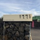 우연 한동 이미지