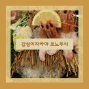 쿄노쿠시 이미지