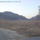 오계교 이미지