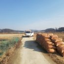 오늘은봄날 이미지