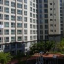 김해대로 이미지