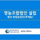 행정사법인 해인 이미지