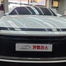 카팰리스오산
